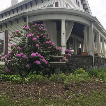Bel'S Inn Bed And Breakfast Кингстън Екстериор снимка