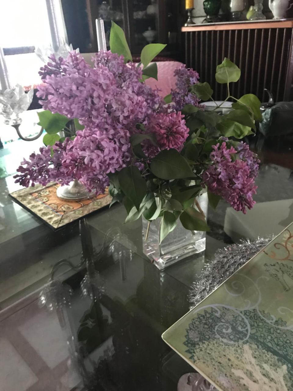 Bel'S Inn Bed And Breakfast Кингстън Екстериор снимка