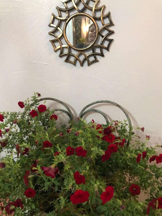 Bel'S Inn Bed And Breakfast Кингстън Екстериор снимка